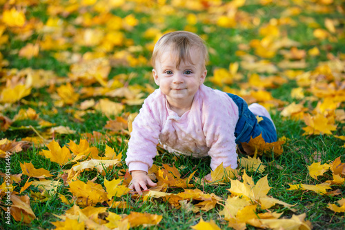 Happy little girl crawls on all fours on fallen colorful leaves in autumn park