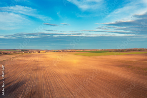 Wheat field with blue cloudy sky at sunset. Aerial view. Beautiful nature