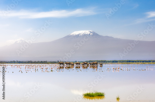 Mount Kilimanjaro with a herd of elephants walking across the foreground. Amboseli national park, Kenya. photo