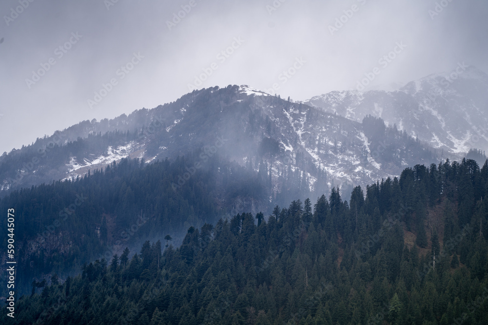 fog mist rolling over tree covered mountains in the foreground and snow capped peak in the background in manali himachal pradesh