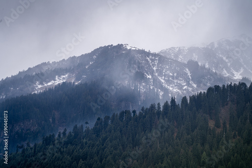 fog mist rolling over tree covered mountains in the foreground and snow capped peak in the background in manali himachal pradesh