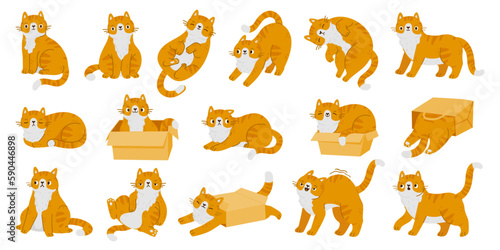 Cartoon kitten cats cute characters. Red cats in different poses, various emotions and behavior isolated on white background. Vector set