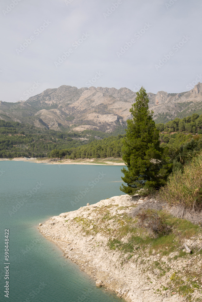 Trees and Peaks in Aixorta Mountain Range with .Reservoir; Guadalest; Alicante; Spain