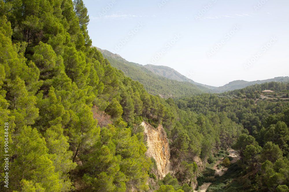 Pine Tree and Peaks in Aixorta Mountain Range; Guadalest; Alicante; Spain