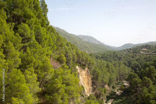Obraz na płótnie Pine Tree and Peaks in Aixorta Mountain Range; Guadalest; Alicante; Spain w salonie