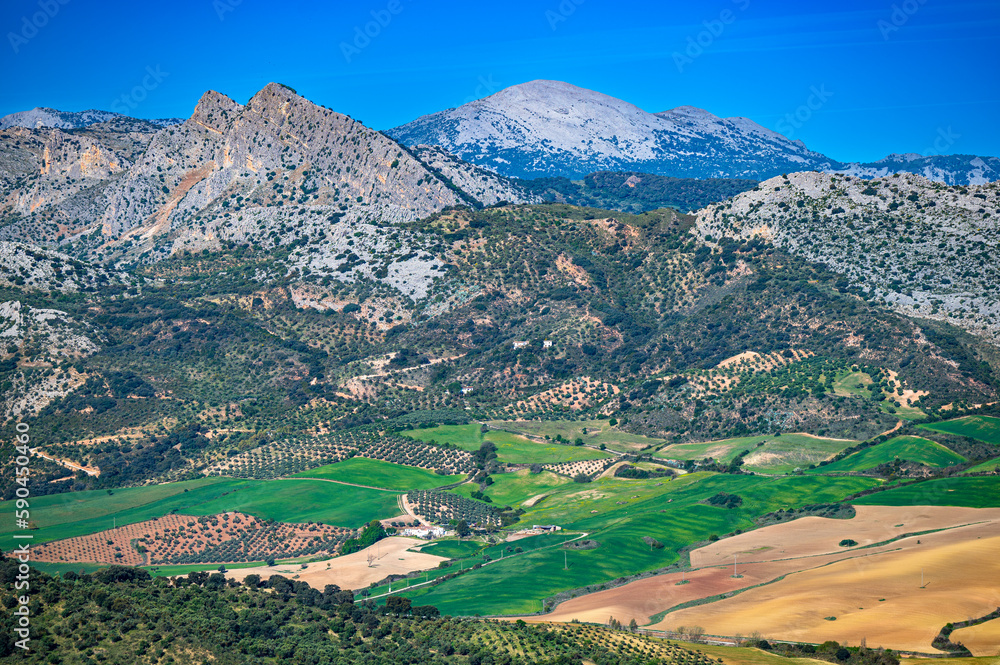 Typical Andalusian landscape near the city of Ronda. - obrazy, fototapety, plakaty 