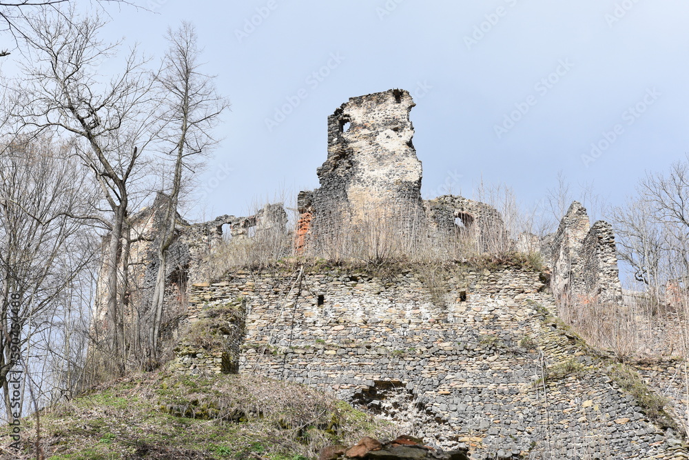 Zamek Gryf, ruiny średniowiecznej budowli we wsi Proszówka, Dolny Śląsk, Polska, - obrazy, fototapety, plakaty 