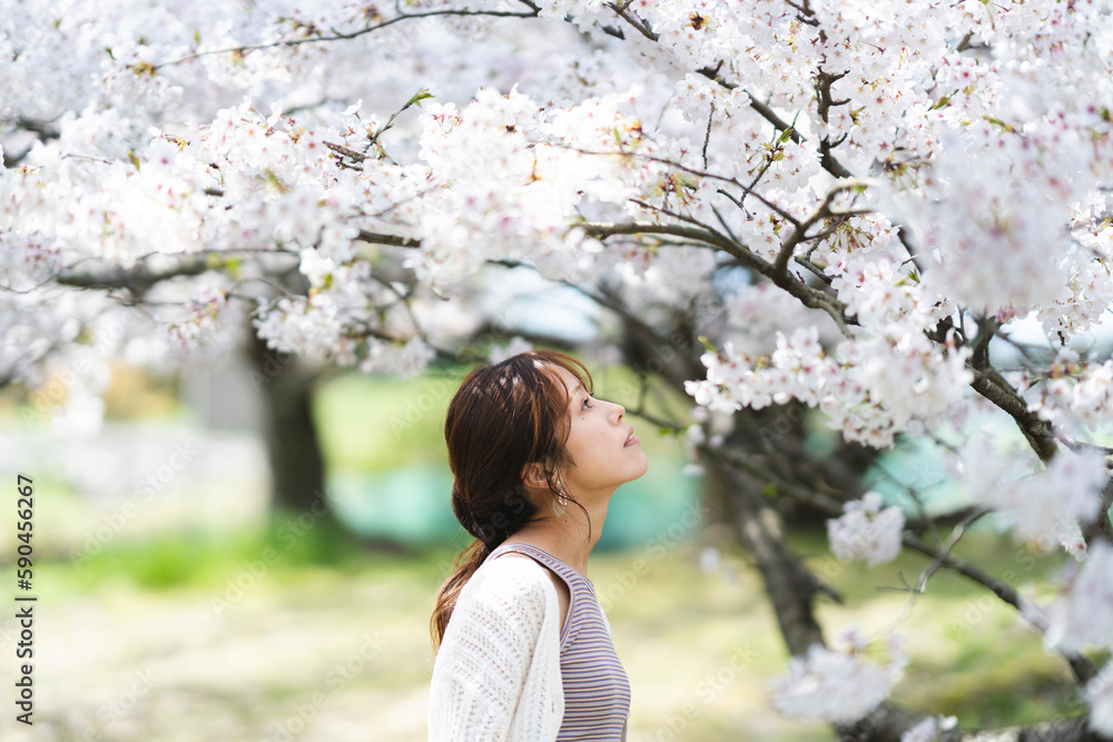 桜の花と女性