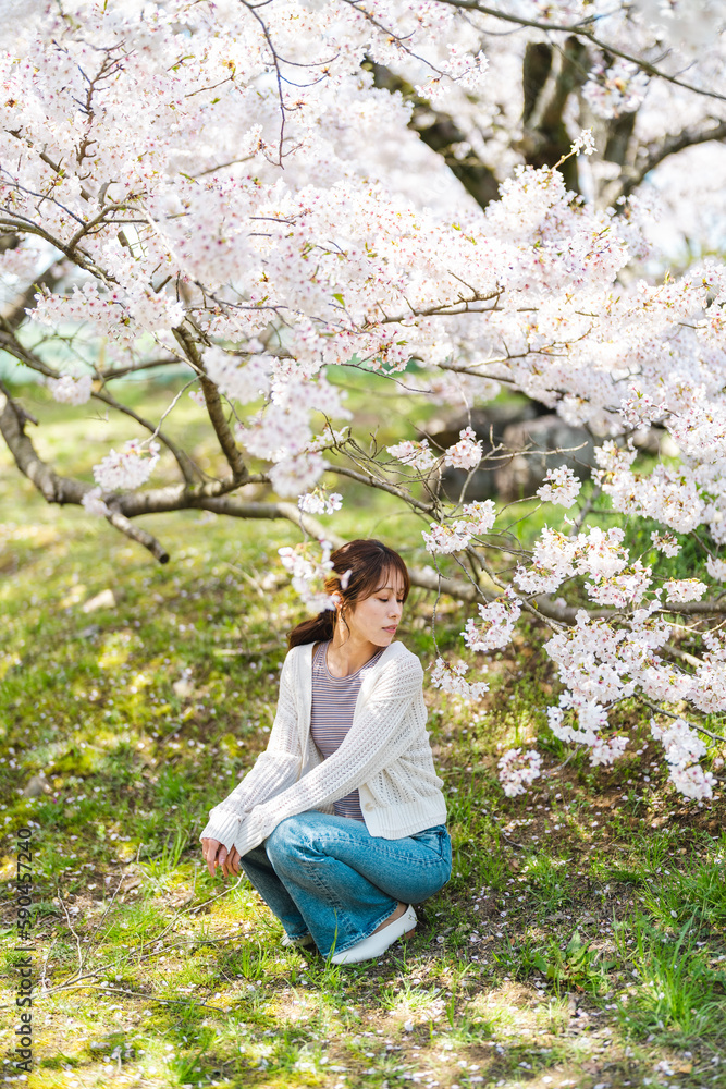 桜の花と女性 桜の花と女性