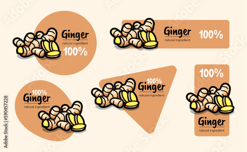 Set of labels with vector illustration of ginger in various geometric shapes