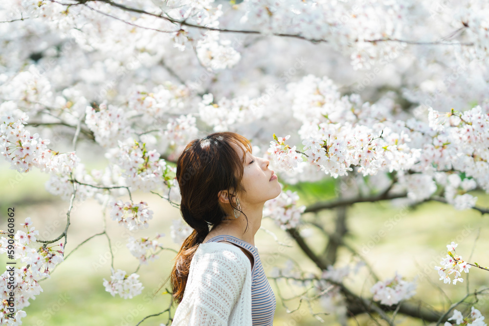 桜と女性 桜と女性