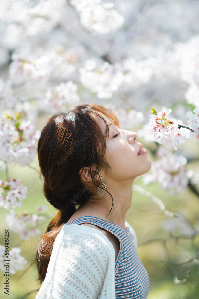 桜と女性 桜と女性