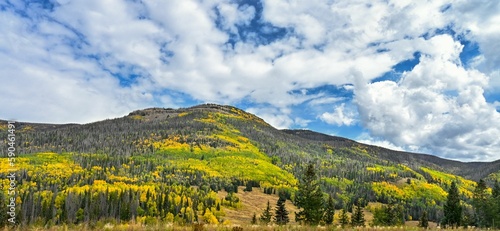 Beautiful scene of aspen trees under green mountains with cloudy sky in Fishlake National Forest