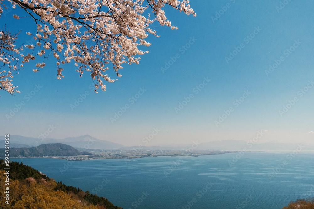 桜と滋賀県、長浜市の奥琵琶湖から見える風景