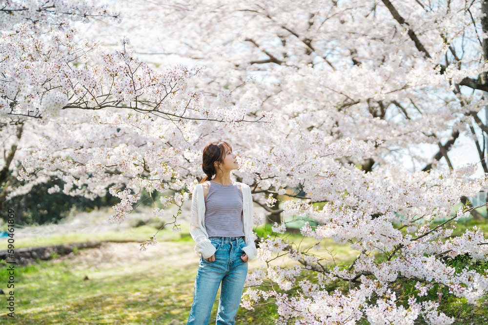 桜と女性 桜と女性