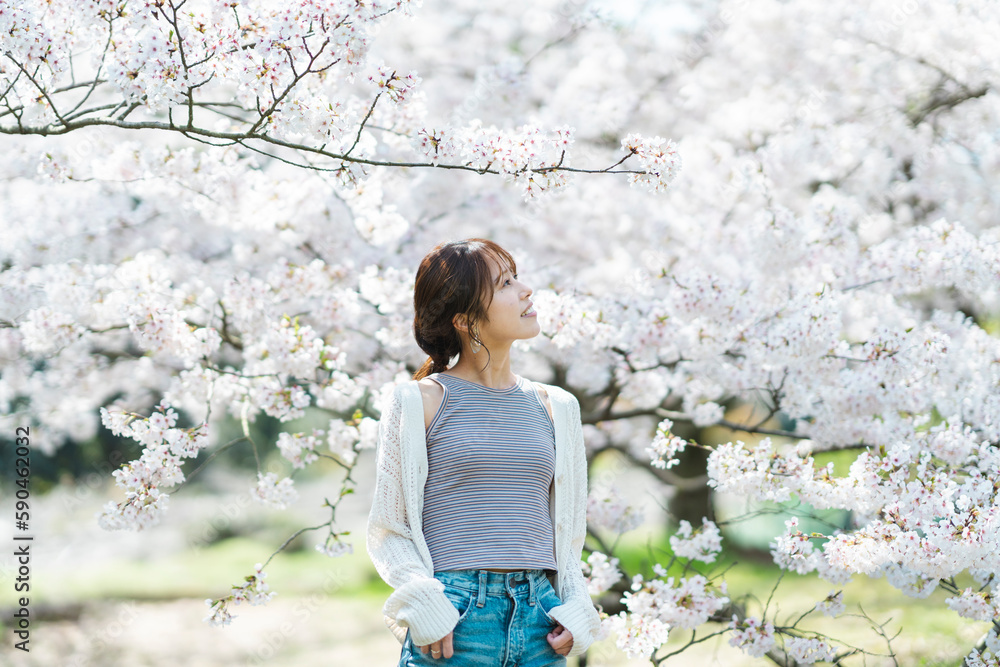 桜と女性 桜と女性