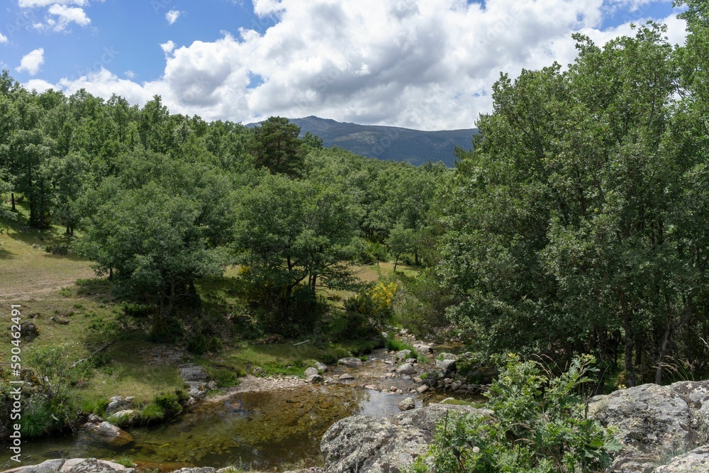 Creek flowing between the trees under a blue cloudy sky in Rascafria, Spain