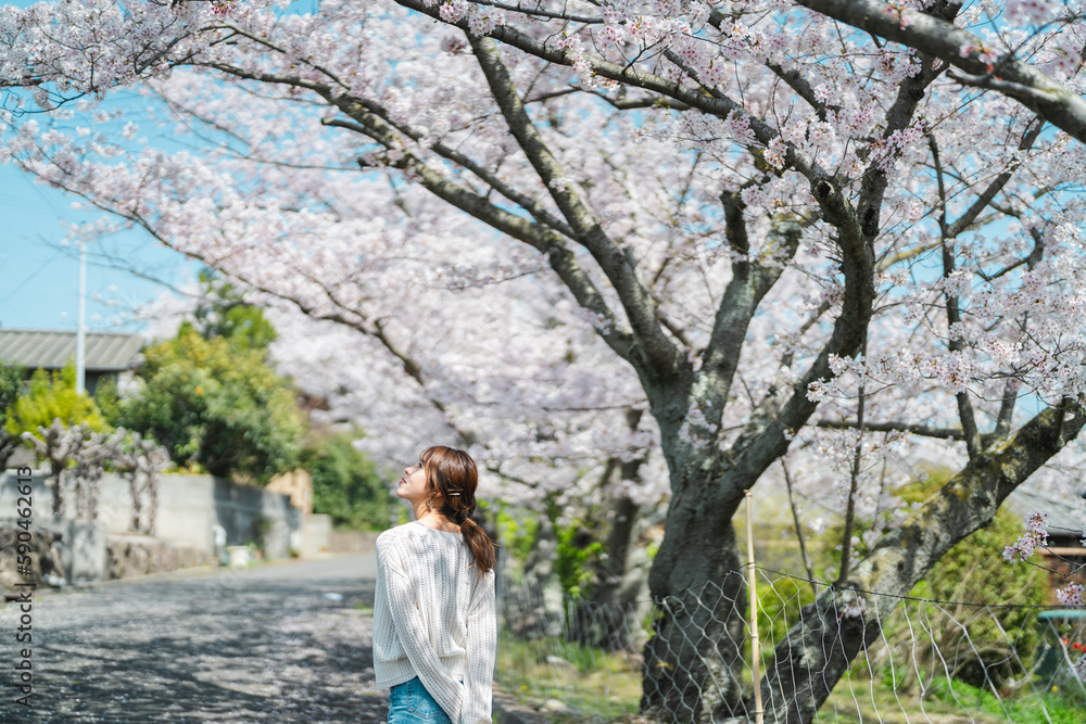 桜と女性 桜と女性