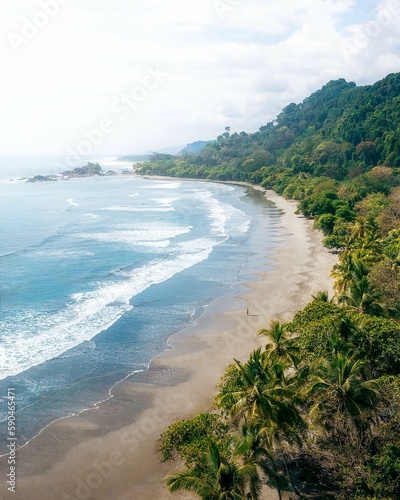 Vertical aerial shot of the beach full of palm trees and the waves of water