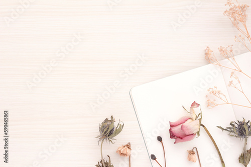 Pretty decorative frame and copy space with pink toned roses and other dried flowers