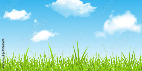 green grass and blue sky with copy space for text