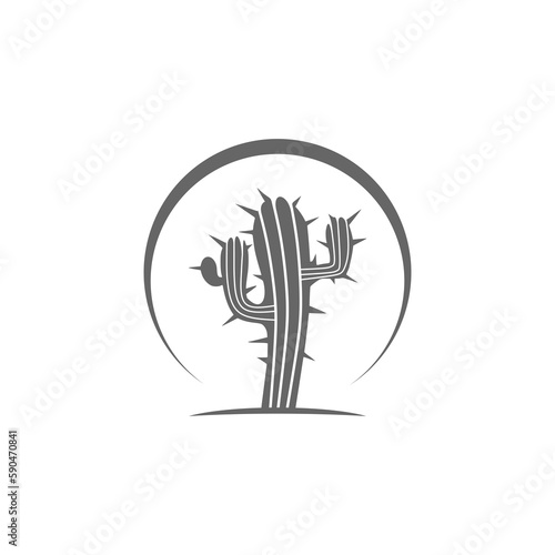  Cactus logo isolated on transparent background photo