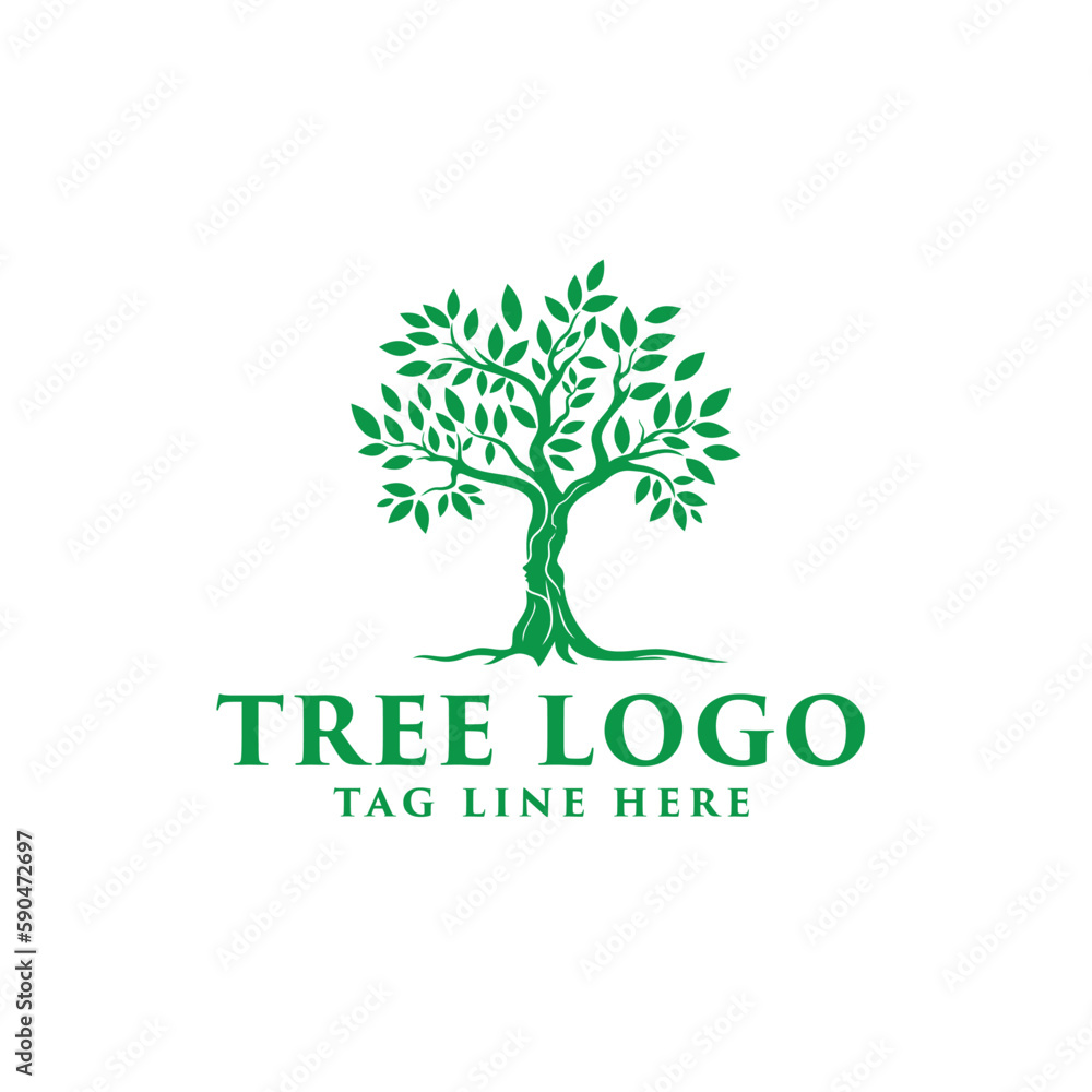 Fototapeta premium natural plant vector tree logo design illustration 