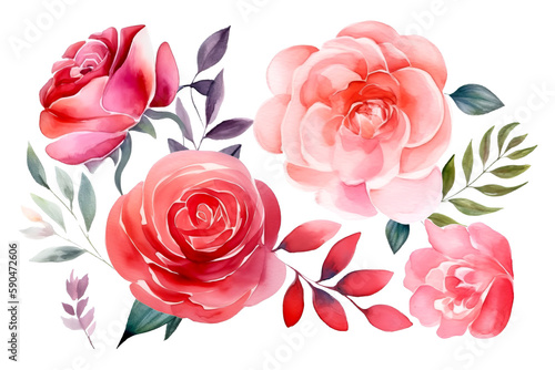 Beautiful rose on white background. Pink and red rose flower for Mother day and Valentines day postcards and greeteeng cards. Watercolor rose flowers isolated on white background. Generative AI.