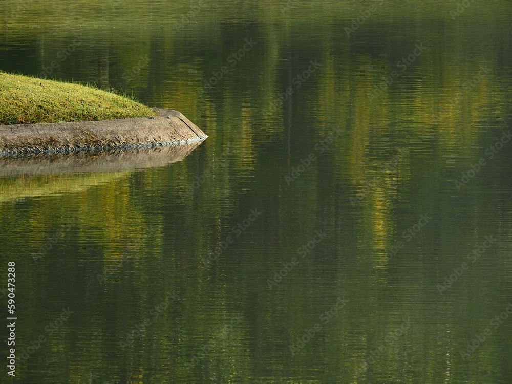 Fototapeta premium view of water in the pond with reflection