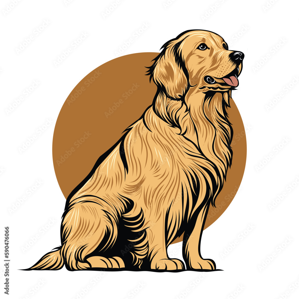 golden retriever dog vector - obrazy, fototapety, plakaty 