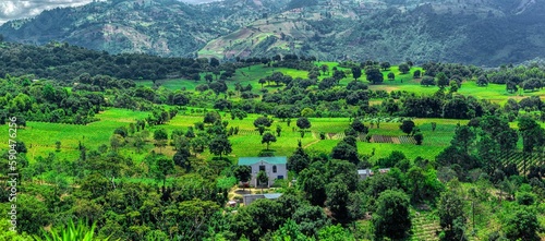 Panoramic view of a green field in a mountainous landscape