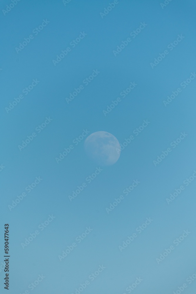 Vertical shot of the cloudless blue sky with a moon during the daytime Vertical shot of the cloudless blue sky with a moon during the daytime