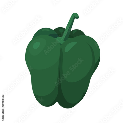Vector illustration of bell pepper.