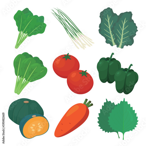 Vector illustration of vegetables rich in carotene.