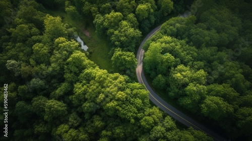 A stunning aerial view of a winding road cutting through a lush forest, capturing the harmony between nature and human-made paths. Generative AI.