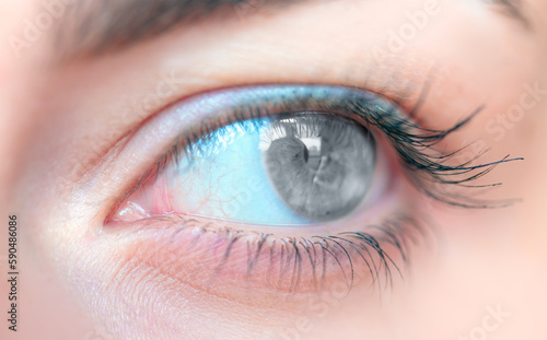 Close-up beautiful girl grey eye 