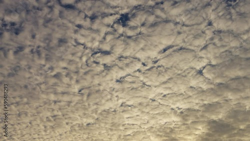 Altocumulus clouds covering the sky and moving in real time to the sunlight. Evening sunlight is illuminating the soft texture pattern.
