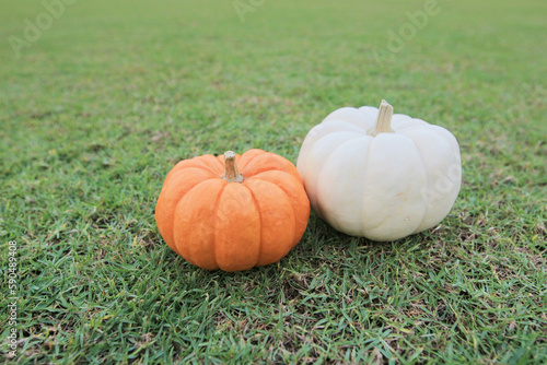 the pumpkins on grass. great image for Fall