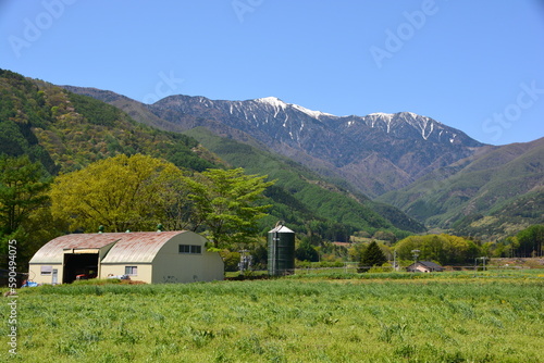 中央アルプス山麓の牧場　伊那谷の春の景色 photo