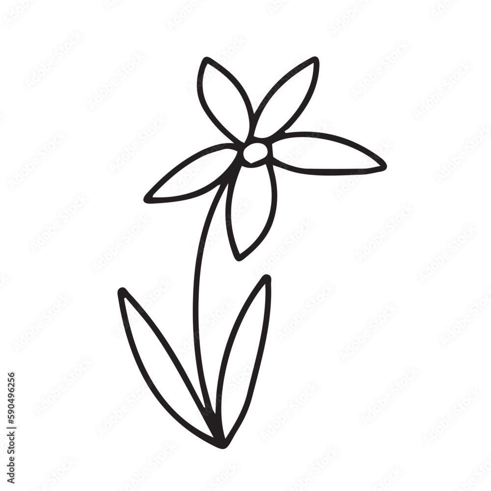 Doodle summer flower illustration. Vector daisy flower doodle Doodle summer flower illustration. Vector daisy flower doodle