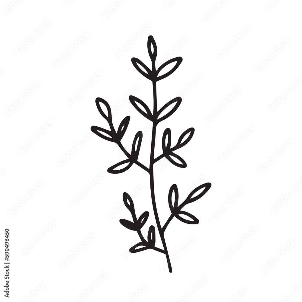 Vector hand drawn plant with leaves doodle illustration. Cute vector herb sketch Vector hand drawn plant with leaves doodle illustration. Cute vector herb sketch
