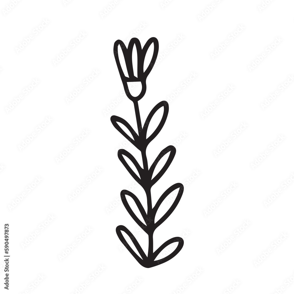 Cute doodle flower illustration Cute doodle flower illustration