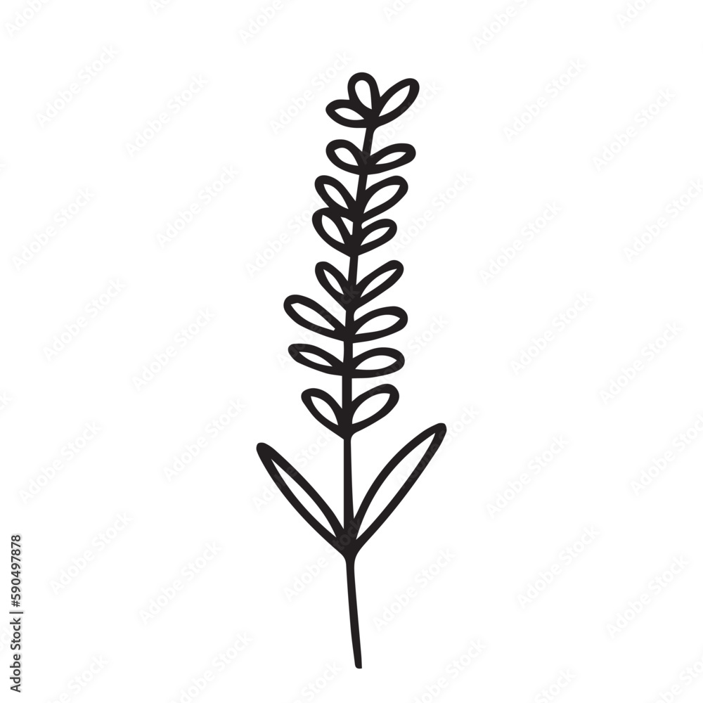 Cute doodle flower illustration Cute doodle flower illustration