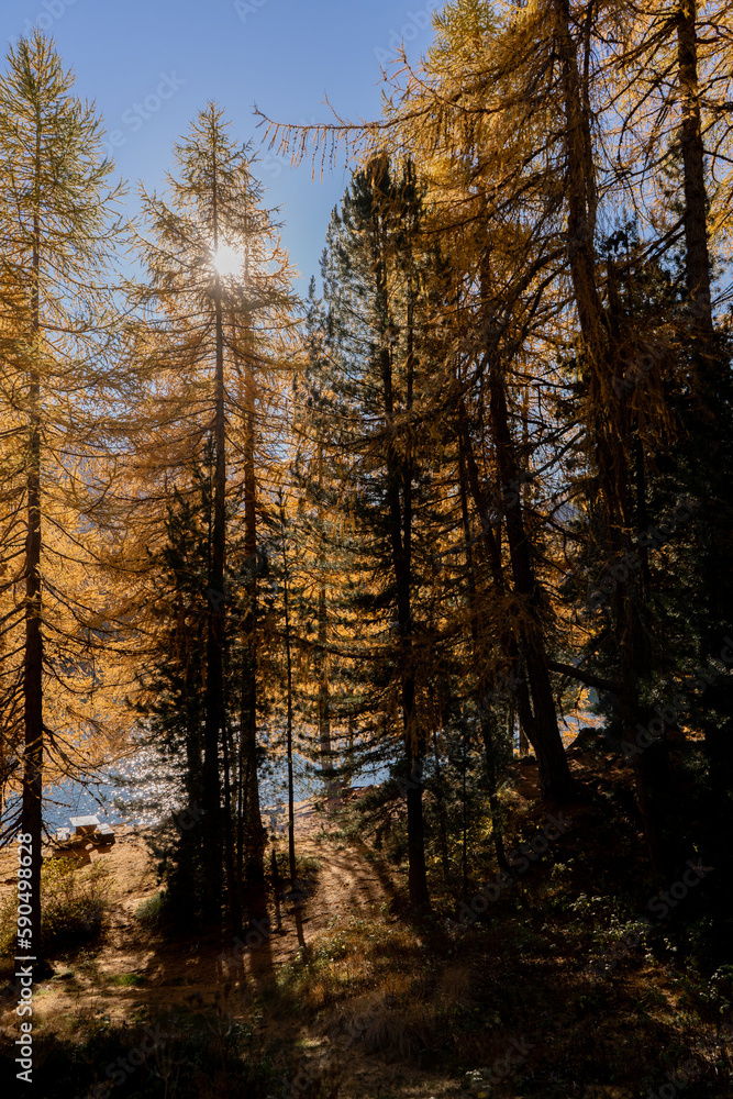 Engadin im Herbst Engadin im Herbst