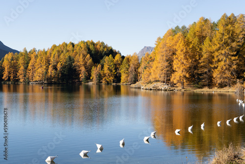 Engadin im Herbst