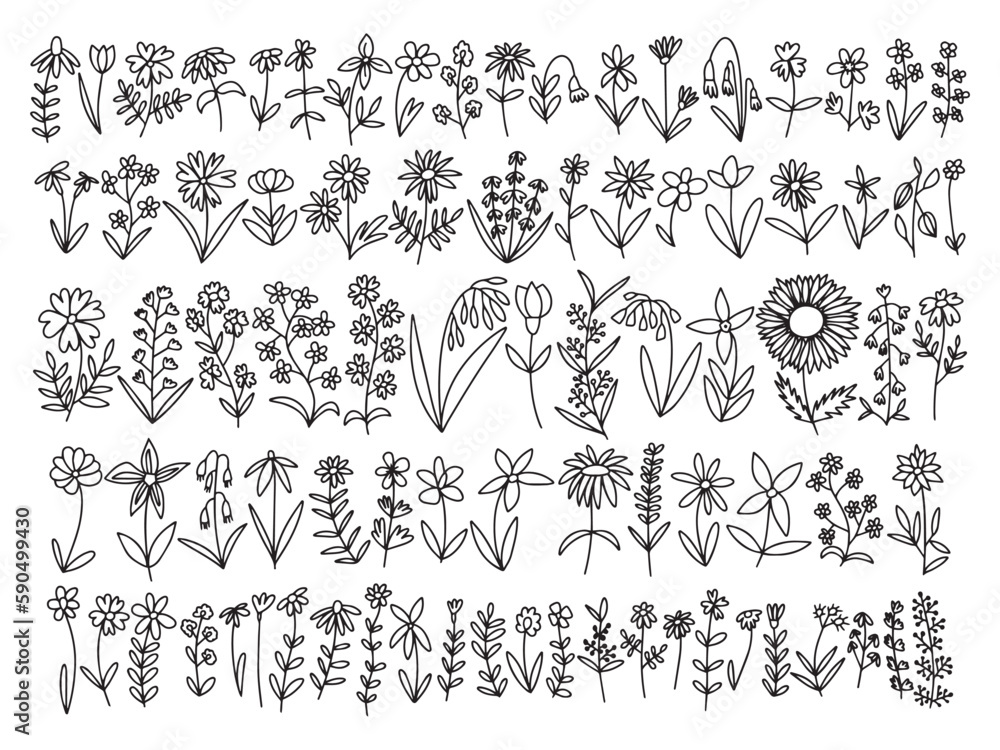 Vector doodle different kinds of flowers and herbs set. Big botanical wild flowers set Vector doodle different kinds of flowers and herbs set. Big botanical wild flowers set