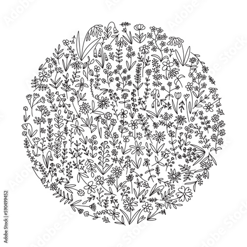 Different kinds of flowers set in round shape. Hand drawn many flowers doodle set
