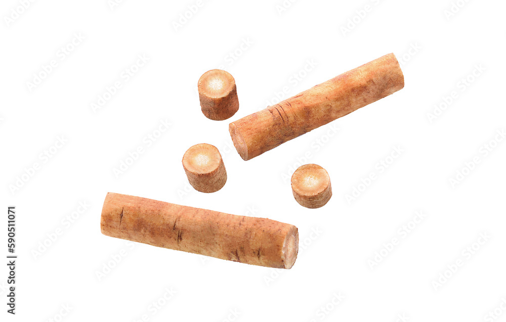 Burdock roots isolated on transparent png Burdock roots isolated on transparent png