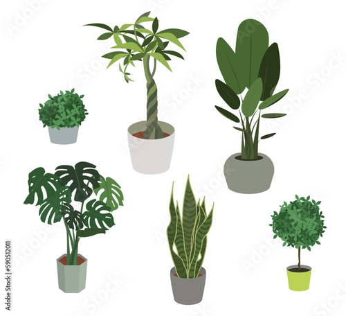 観葉植物のイラストセット