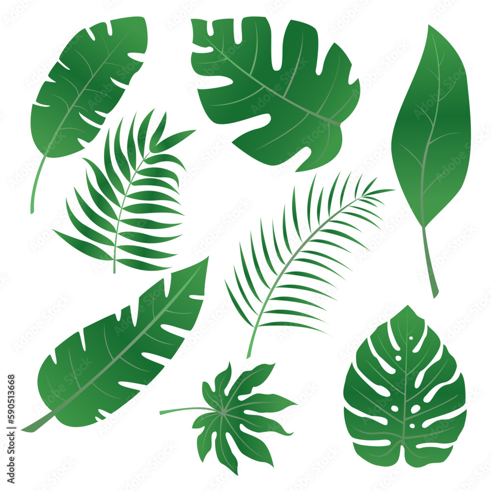 tropical leaves, leaves, forest, tropics, jungle
tropical leaves, leaves, forest, tropics, jungle